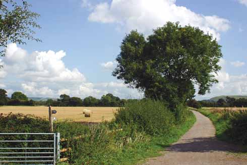 810edTrailway2 From this spot on the Sturminster Newton to Shillingstone section it is a short walk to Fiddleford Mill and Manor