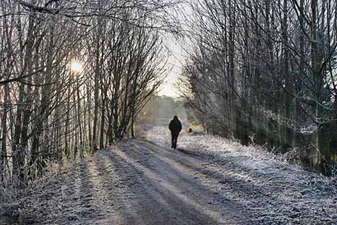 810edTrailway3 The Trailway passes through many wooded sections, affording walkers shelter even in the depth of winter