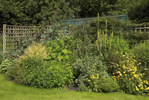 A good yellow border