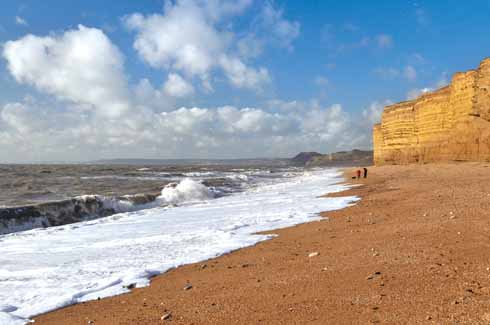 The beach at Burton Bradstock is not only a significant geological feature – its mixture of hard and soft Bridport sands give the cliffs a serrated look –  but was also the place where, according to folklore a mermaid was brought to land in 1757; probably it was an off-course dugong. Less exotic landings were made there by Dorset smuggler par excellence, Isaac Gulliver, who even planted a stand of conifers as a landmark for his smuggling fleet.