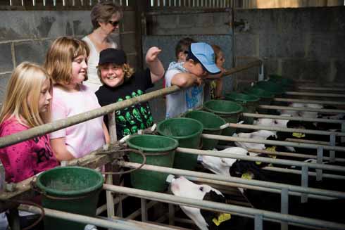 1010edCharity2 School children observing calf feeding at Gore Farm, one of many elements of the life of a farm that visitors can choose to see