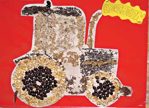 1010edCharity3 This collage (of the seeds produced by all the farms on the Estate) was given to Stuart and Tessa Casely as a thank you from one of the schools that visited Gore Farm
