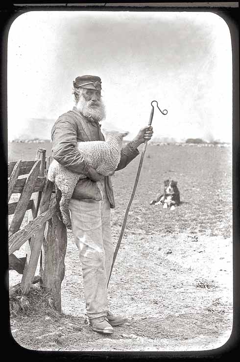 Shepherding was not quite a cradle to grave operation, but employers were keen to employ youngsters with experience, and their fathers glad to have the money coming in