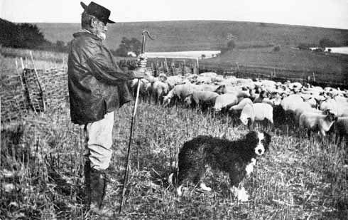 In later years, wellies and waxed jackets replaced more traditional apparel, but the vigilant posture seems unchanged across time 