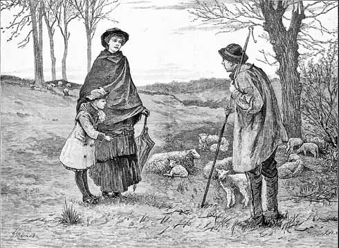 Steel cages and concrete baths may have replaced willow hurdles and a hole dug in the ground, but the process of sheep-dipping is still clearly recognisable, here at Bradford Peverell