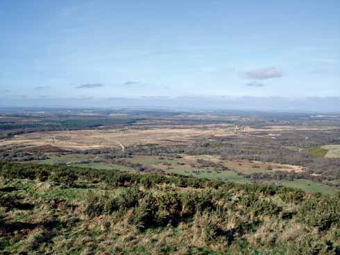 1110edFACEOF3 Povington Heath in the Lulworth Ranges from Povington Hill