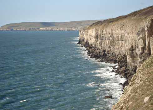 1110edFACEOF4 The south coast of Purbeck looking west from Anvil Point