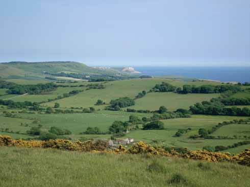 1110edFACEOF6 Western Purbeck, Smedmore Hill and distant St Aldhelm’s Head
