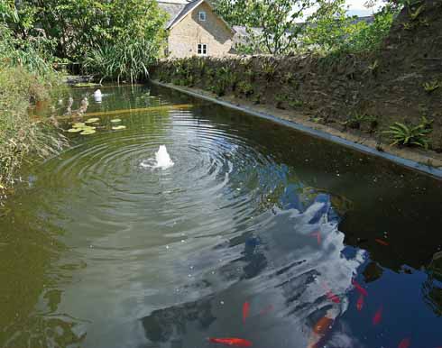 The water feature in the garden may once have been a fish farm