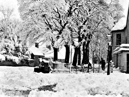 1110edSHOPPING1 Dorchester in good snow – probably 1881, which was the heaviest fall for fifty years. Looking down The Grove from Top o’ Town. Hardy’s statue was to be placed in the trees, centre, more than 40 years later.