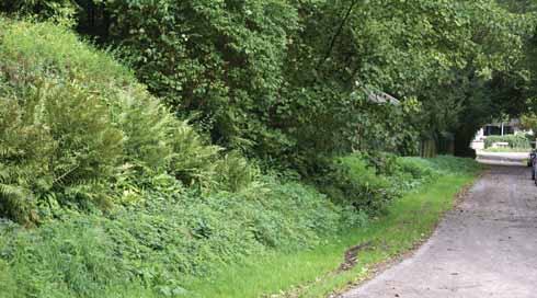 The lane up to the church. On the left is the vicarage garden’s bank, the likely location of the mustard and cress planting and visible to all those attending the Sunday service