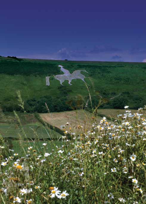 1210edTrump2 After the British victory at Trafalgar in 1805, the country was alight with patriotic fervour. A gigantic figure of King George III on horseback was cut on what is now called White Horse Hill near Osmington, and John Loveday takes Anne to see ‘forty navvies at work’ removing the turf to make the figure.
