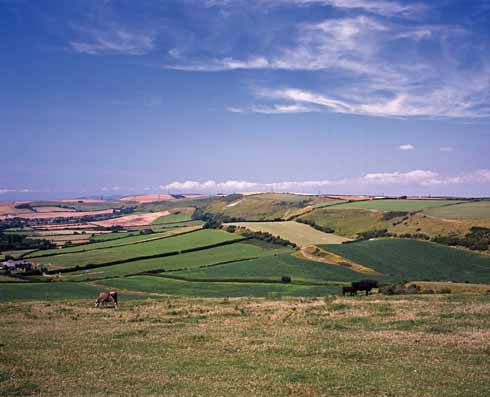 1210edTrump3 Sutton Poyntz (‘Overcombe’) is the village in the centre left of this photograph, with White Horse Hill to its right. It was on this downland that John Loveday’s regiment of dragoons arrives at the start of the novel to pitch camp.