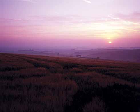 1210edTrump4 Sunrise over Ridgeway Hill. In Hardy’s novel, John and Anne and many others from Overcombe go to the top of the Ridgeway one evening to wait for King George’s carriage procession to pass on the way to Weymouth (‘Budmouth’). It is a long wait: they do not come until 3.30 am.