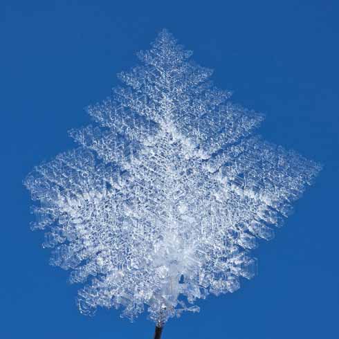 211edEDWARDES5 Frost crystals form from water vapour in the air and on particularly cold nights large crystals can grow, especially along riverbanks and on hilltops shrouded in fog or low cloud