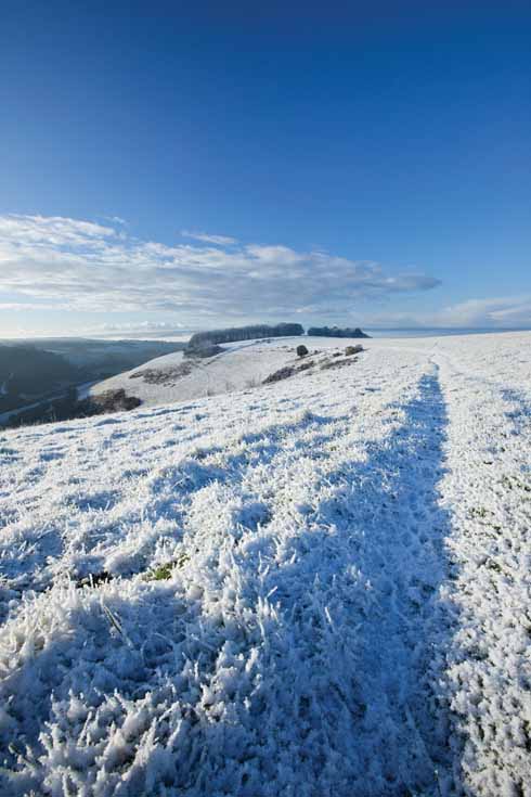 211edEDWARDES6 Fontmell Down affords spectacular views across the Blackmore Vale. An extensive network of footpaths provides access to this summit and neighbouring Compton Down and Melbury Hill.