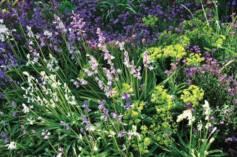 Fresh colours of spring