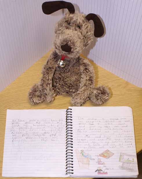 Introducing Bertie: a ‘classroom pet’ who helps pupils to communicate by recounting his adventures at their homes