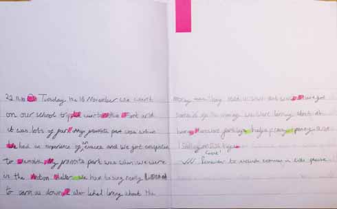 Tickled pink and growing green uses positive reinforcement to reward where topics from specific lessons have been correctly used, and gentle encouragement to remind pupils of elements they may have missed from that lesson