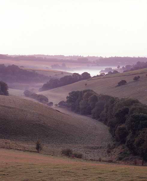 311edTESS2 The Chase, Cranborne Chase, is the scene of the first tragedy in Tess’s odyssey, where she minds herself at the mercy of Alec D’Urberville. ‘Darkness and silence ruled everywhere around… and about them stole the hopping rabbits and hares.’
