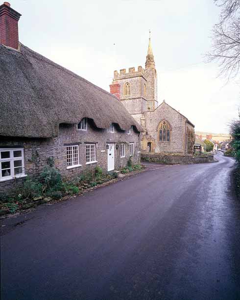 311edTESS5 Tess’s cottage at Evershot, with the parish church beyond. In Hardy’s Evershed, Tess ‘made a halt…, and breakfasted… not at the Sow and Acorn, for she avoided inns, but at a cottage by the church.’