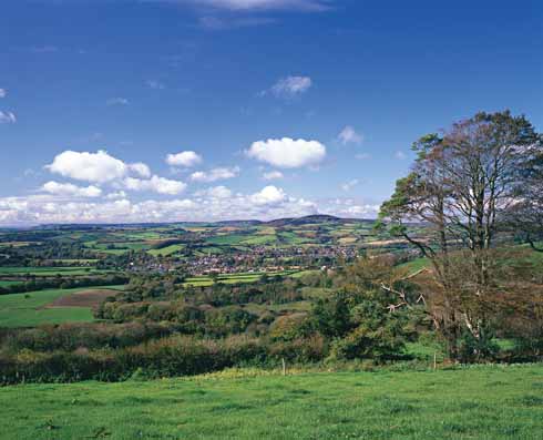 311edTESS6 From Evershot, Tess journeyed on for another seven or so miles to Beaminster in what Hardy describes as being ‘through a more gentle country’