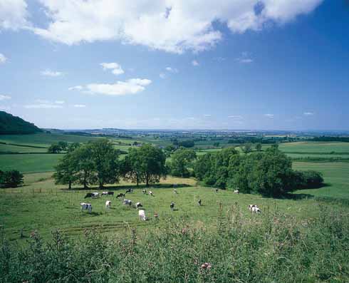 311edTESS7 The Blackmoor Vale, Hardy’s Vale of little dairies ‘lacked the intensely blue atmosphere of the rival vale (Frome valley) and its heavy soils and scents; the new air was clear, bracing, ethereal.’