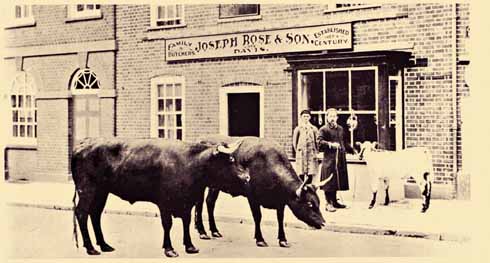 311edWareham1 Before Christmas, butchers would parade their wares to encourage buyers to think of their festive joints