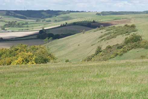 Glorious views are hard earned on this ride. This is the scene that greets you opposite Higher City Farm, at the top of the climb out of Sydling. 
