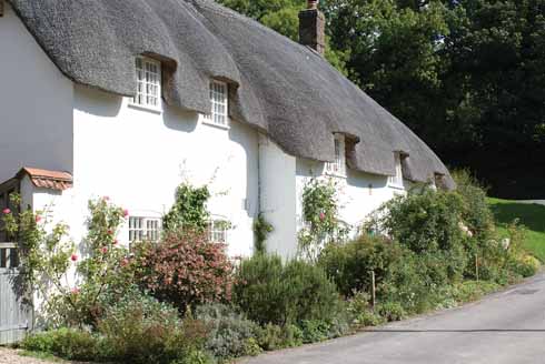 Thatched cottages provide an attractive distraction on the way to the church in Piddletrenthide