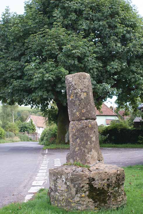 Opposite the start and finish point in Sydling St Nicholas