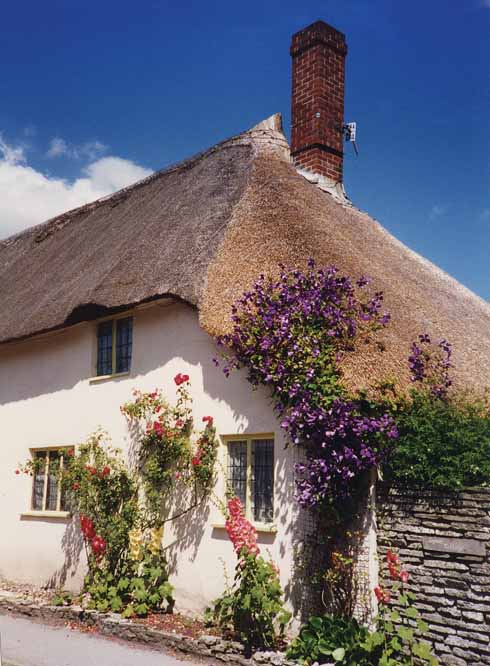 511edLegg2 This 18th-century half-hipped thatched cottage was Grade II listed in the mid-eighties