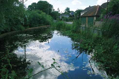 511edLegg6 The Millennium Pond at Winterborne Houghton