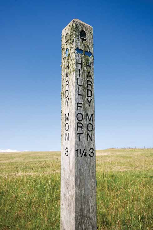 This wind-exposed signpost eschews finger pointers