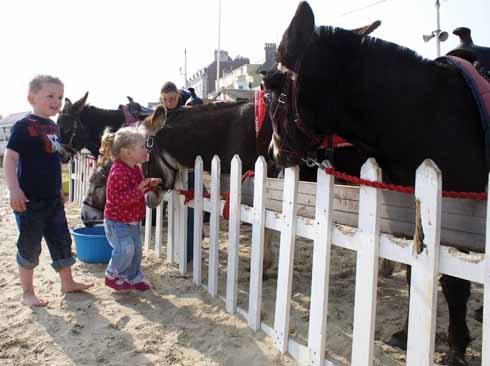 The first children of the day enthusiastically greet Weymouth’s donkeys