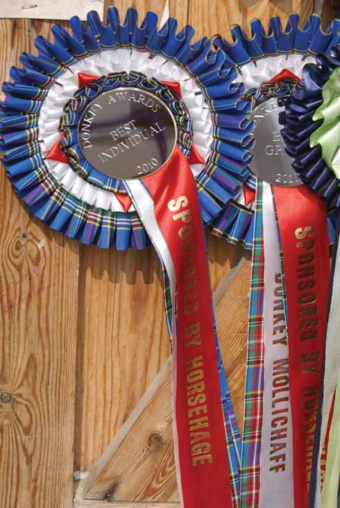 Just one of a dozen awards that Sooty and her friends have picked up in the last five years