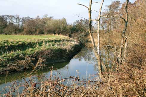 The River Yeo