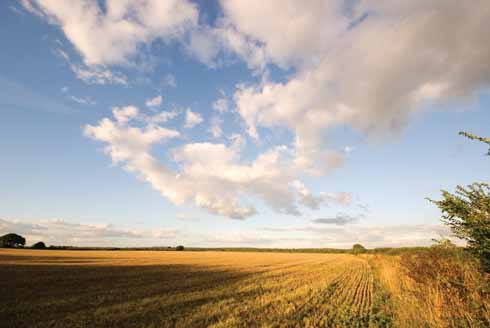 Left open fileds are still to be found not far from Christchurch in East Dorset