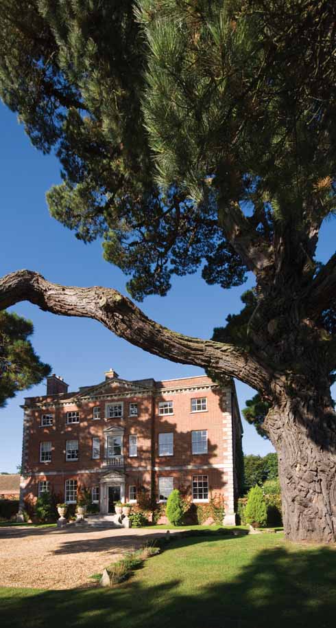 Below Burton Hall, framed by a majestic pine tree, in spring sunshine