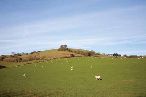 711EdWalk2 The walk takes us through typical West Dorset scenery after leaving Stoke Abbott