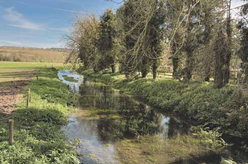 The clear waters of the river Tarrant after which the village is named. The village was known in the 12th century as Tarenta Monachorum: estate on the Tarrent of the monks.