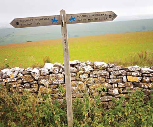 811edWalk3 Just before its halfway point, the walk shares a route with the South Dorset Ridgeway for a spell