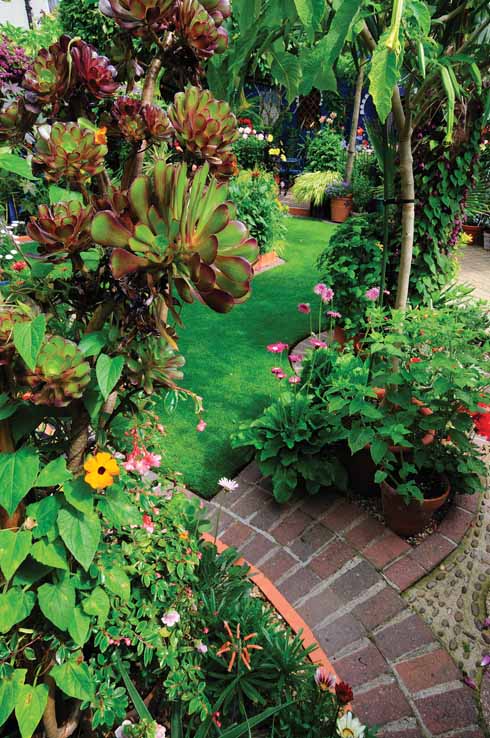 Tropical splendour beneath the brugmansias.