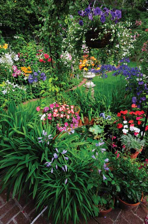 More plants than you can count in Lyn’s garden.