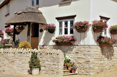 Wonderfully colourful floral displays outside Bluebell Cottage – a recently built house which sits happily within the Tolpuddle vernacular style in terms both of its design and building materials