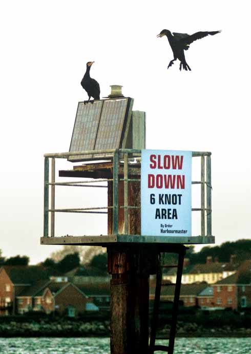 Cormorants carefully trying to observe and obey the regulations on the Fleet Channel marker in Portland Harbour