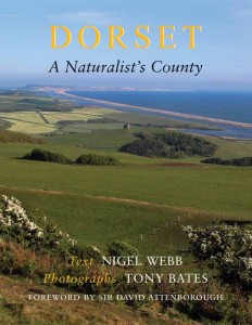 517EdDWTBook_dorset_anaturalist