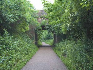 Salisbury Road is carried over the dismantled railway by a brick bridge, north of the dismantled Blandford Forum station.