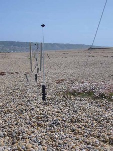 817EdDWT_Fence barriers for the little tern colony on Chesil Beach © DWT