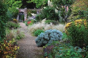 A view of the herbaceous border in the walled garden with the impressive yucca in the background